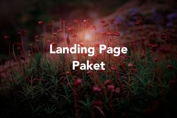 Landing Page Paket